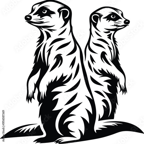 Two elegant monochrome meerkats stand guard back to back looking out in different directions