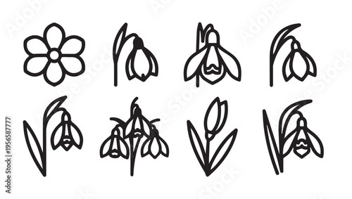 Collection of Spring Flowers Icons Line Art Snowdrop and Daisy Outline Illustrations