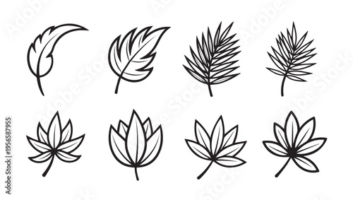Collection of Eight Varied Leaf Outline Illustrations on White Background