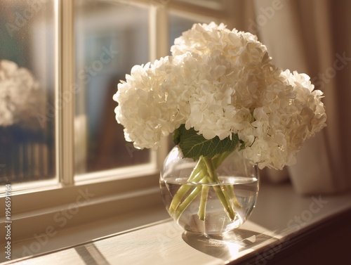 White Hydrangea Flowers in a Clear Vase by a Window in Daylight