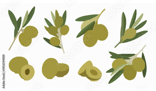 Green olive branch and olive vector illustration realistic set isolated on white background for cosmetic and food