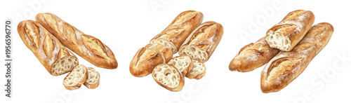 French baguette watercolor set with whole and sliced bread