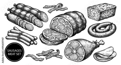 Sausage and meat set with ham salami and bacon sketch