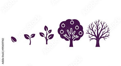 A visual depiction of a plant s life cycle from seed to fully grown tree presented in a dark silhouette high quality