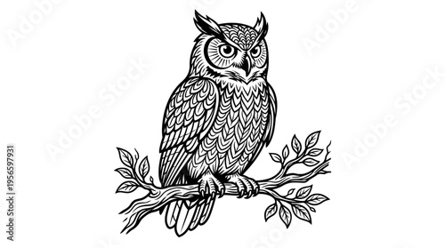 Owl sitting on a branch looking.