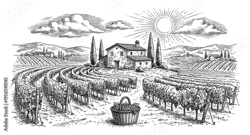 Vineyard wine landscape in hand drawn vintage engraving