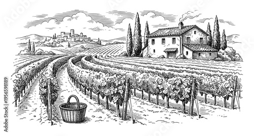 Vineyard wine landscape with farmhouse in hand drawn vintage engraving