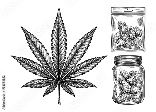 Cannabis leaf with buds in jar and bag in vintage engraving style