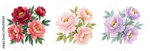 Watercolor peony bouquet set in red pink and purple colors