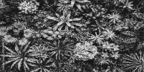 A high contrast black and white halftone pattern featuring an abstract arrangement of floral forms Vector