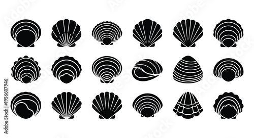 A collection of black seashell outlines and shapes displaying varying spiral and ribbed patterns a distinct silhouette high quality professional detailed