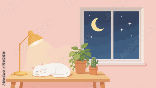 White cat sleeping on table with night window