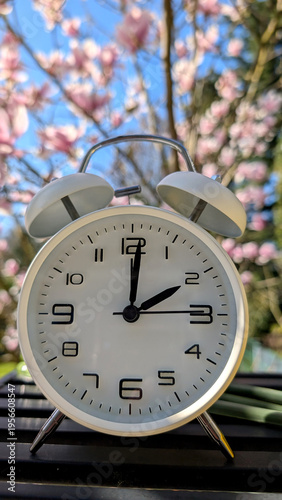 Spring forward – daylight saving time with alarm clock and blooming flowers. 