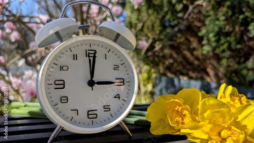 Spring forward – daylight saving time with alarm clock and blooming flowers. 