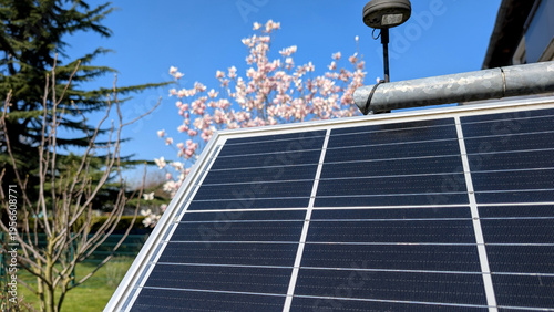 Solar panels in garden with blooming tree in the background. 