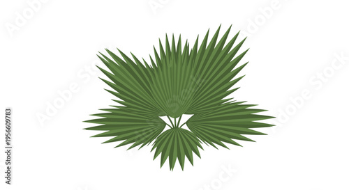 A stylized vibrant green palm frond cluster is depicted from an overhead perspective, showcasing multiple fan-shaped leaves radiating outwards against a clean white background.