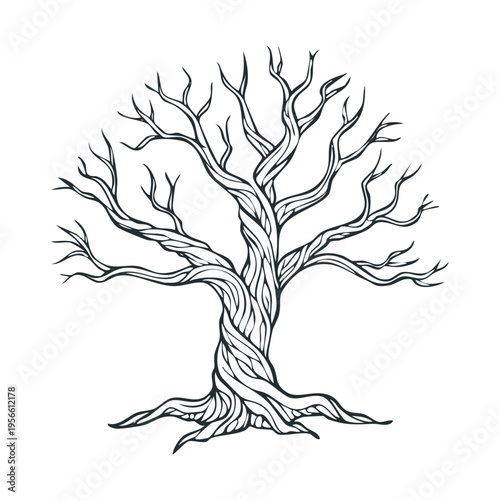 Twisted ancient tree outline with intricate bark and roots reaching out