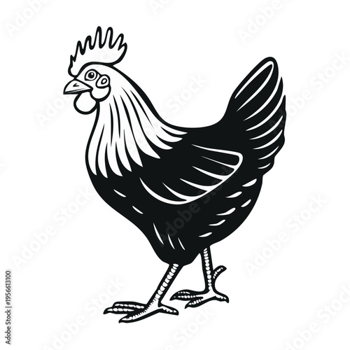 Stylized Black and White Chicken Illustration Standing Proudly
