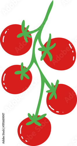 Cherry Tomato Branch Vine. Simple Pomodoro Tomatoes Vegetable. Hand Drawn Vector Illustration