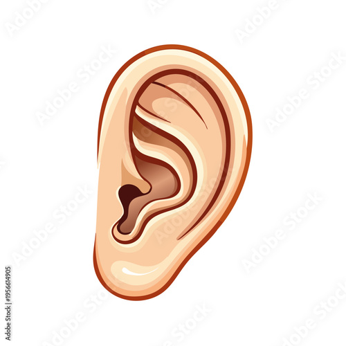 Detailed illustration of a human ear with realistic shading and anatomical detail