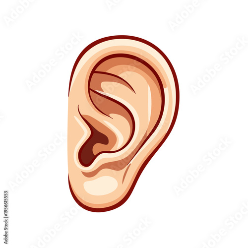 Human Ear Anatomy Detailed Illustration for Medical and Auditory Concepts