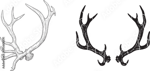 Deer Antlers Set Hand Drawn Antler Illustration Black and White Rustic Design