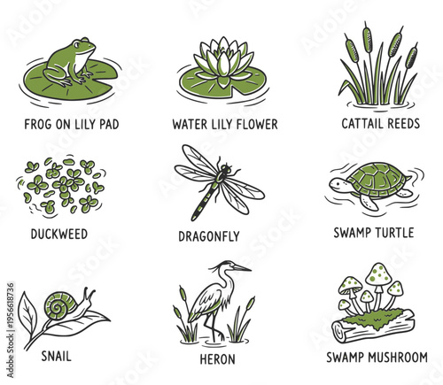 Hand-drawn swamp icon set in black and green. Features frogs, water plants, insects, and wetland animals. Suitable for nature design, stickers, educational materials, and eco projects.