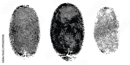 Detailed black human fingerprint identification set for forensic science security and biometric authentication concept