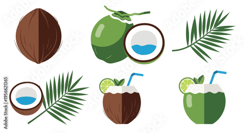 Assorted coconut illustrations whole halved and as refreshing drinks