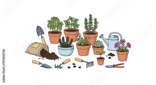 A collection of potted herbs and flowers, gardening tools, a watering can, and spilled soil are arranged on a white surface.