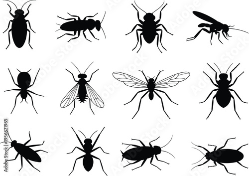Black Insect Silhouettes Set with Cockroach Ant Spider and Fly Vector Icons for Pest Control Branding Entomology Research Isolated on White Background Graphic Design