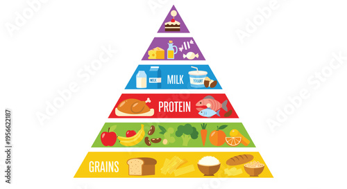 A vibrant food pyramid illustration with labeled sections for different food groups is displayed on a plain white background.