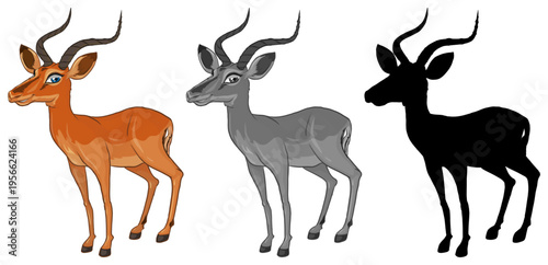 Color grayscale and silhouette antelope illustrations for artistic design use
