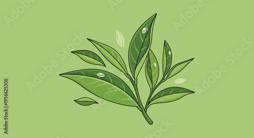 A detailed illustration of vibrant green tea leaves adorned with water droplets presented as a striking silhouette high quality professional modern