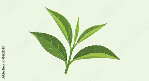A vibrant stylized illustration of green tea leaves against a pale background presented as a silhouette high quality professional detailed modern