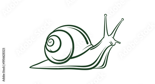 Minimalist linear drawing of a snail with spiral shell on white background