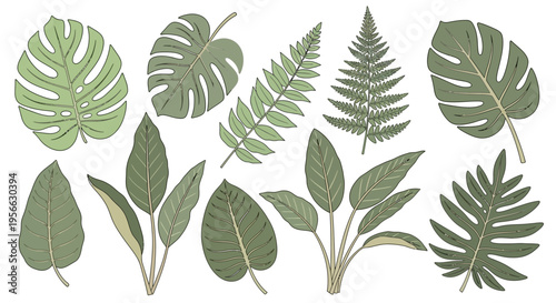 Tropical leaf collection: diverse green foliage in cartoon style