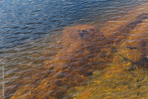 Schilderij op canvas Large underwater rock covered with algae beneath shallow lake water showing ripples and sunlight patterns
