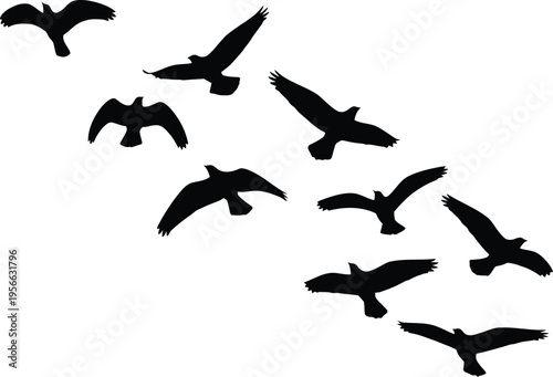 A flock of birds flying in a v formation against a white background