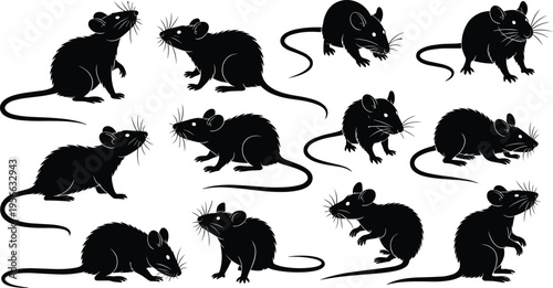 Rat silhouette illustration, twelve diverse figures in unique poses with long tails, whiskers, rounded ears, and small paws, wildlife theme, vector art, black isolated bold design