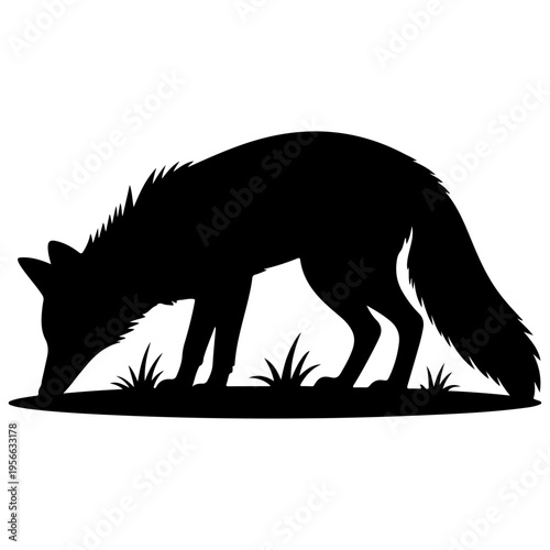 Black fox silhouette vector illustration sniffing ground with grass elements, wild animal graphic design