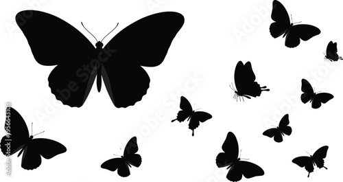 Butterfly silhouette flying vector illustration, black insect shapes, nature design elements, isolated clipart, decorative wings composition, minimal background art