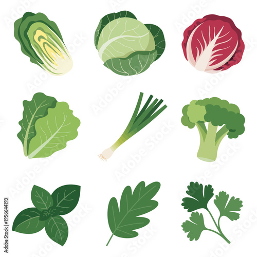 Set of fresh colorful vegetables isolated on white background vector illustration
