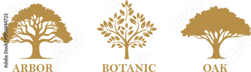 Three stylized tree icons labeled arbor, botanic, and oak in a logo design Vector