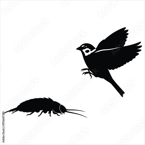 A bird flying away from a cockroach