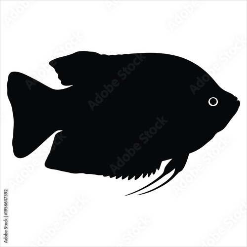 Black fish silhouette with white eye