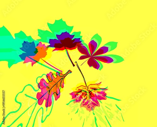 
Multicolored group of leaves