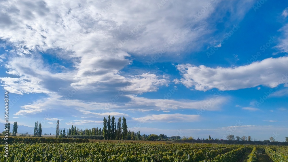 Obraz premium landscape with clouds and sky