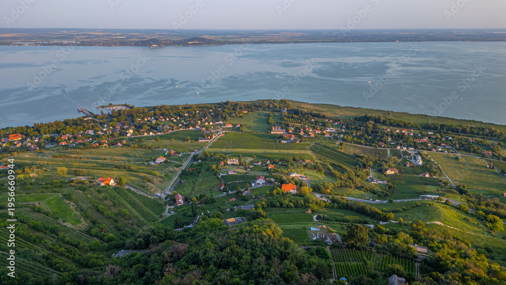 Fototapeta premium Panorama view of vineyards at Badacsony in Hungary