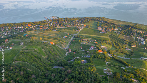Photos Panorama view of vineyards at Badacsony in Hungary